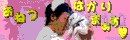 ひなぎく
